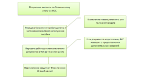 Сроки выплаты больничного из фсс