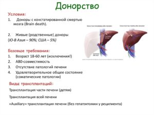 Где в москве можно стать донором печени