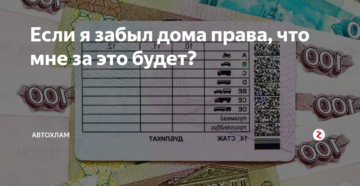 Сумма штрафа за оставленные дома права